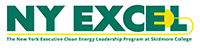 NY EXCEL logo