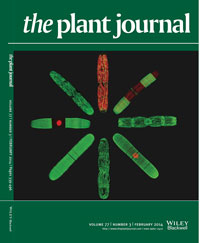 Plant Journal Feb 2014 cover Plant Journal Feb 2014 cover