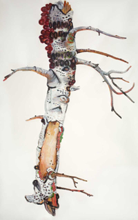 Big Diva by Katie DeGroot Big Diva by Katie DeGroot