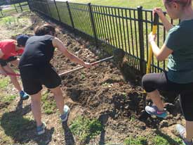 Students in community garden by emily davidson