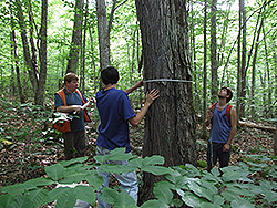 Kurt Smemo and researchers in the field