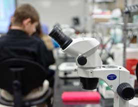 Microscope by Eric Jenks