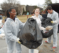 waste audit