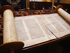 torah