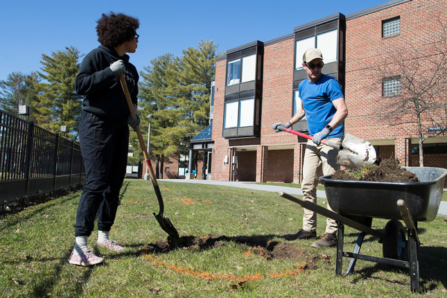 Students plant fruit trees for Earth Day 2018