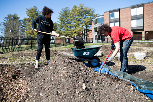 The office of sustainability along with student volunteers planted several fruit trees along the garden. 