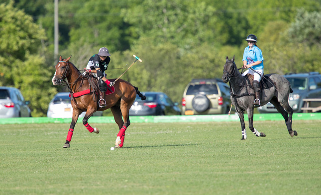 Polo players on horses