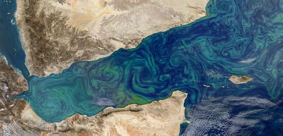 Photoplankton blooms from space