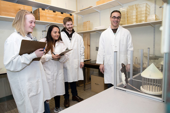 Students work in a lab with their professor