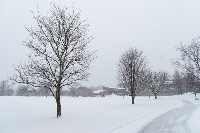 Snow falling on Skidmore College campus