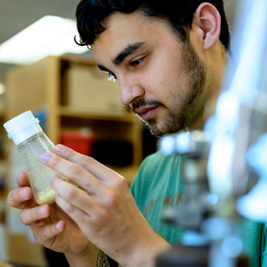 Dominic+Skeele+%E2%80%9922+analyzes+fruit+fly+sleep+patterns