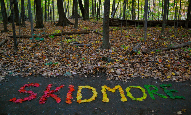 Fall leaves arranged to spell "Skidmore"