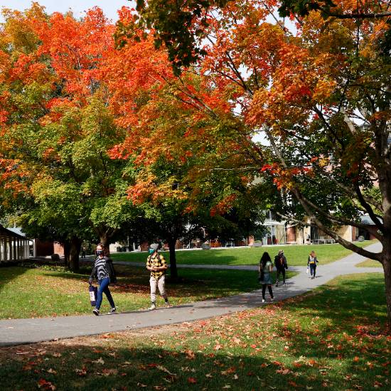 A+fall+campus+scene