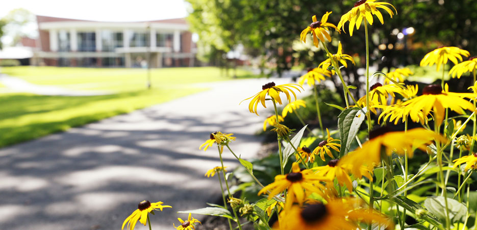 Skidmore College campus in the summer with black eyed susan flowers in the foreground