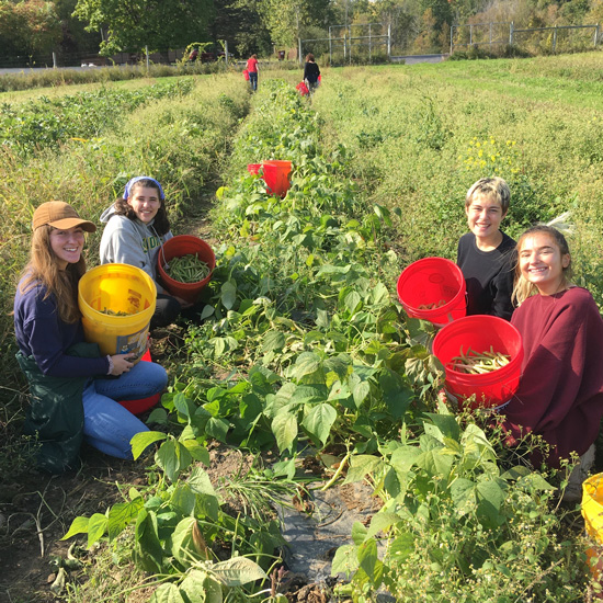 Food+Systems+Initiative+field+trip