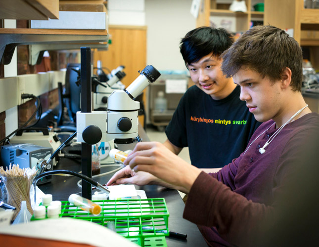 Terrence Gatton '20 and Haoyang Huang '20 study the sleeping pattern of fruit flies during a summer research program inside the Neuroscience department.