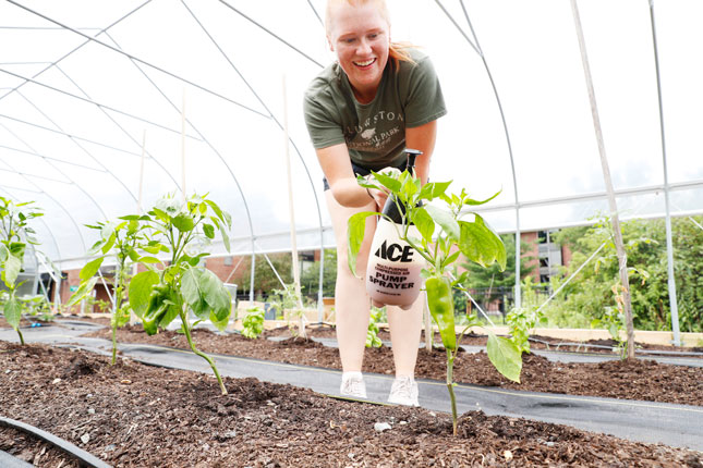 Emily Chase works in the Skidmore Hoop House