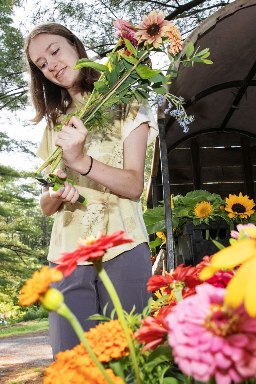 Camilla Brown '25 trims a bouquet at Native Farm Flowers.
