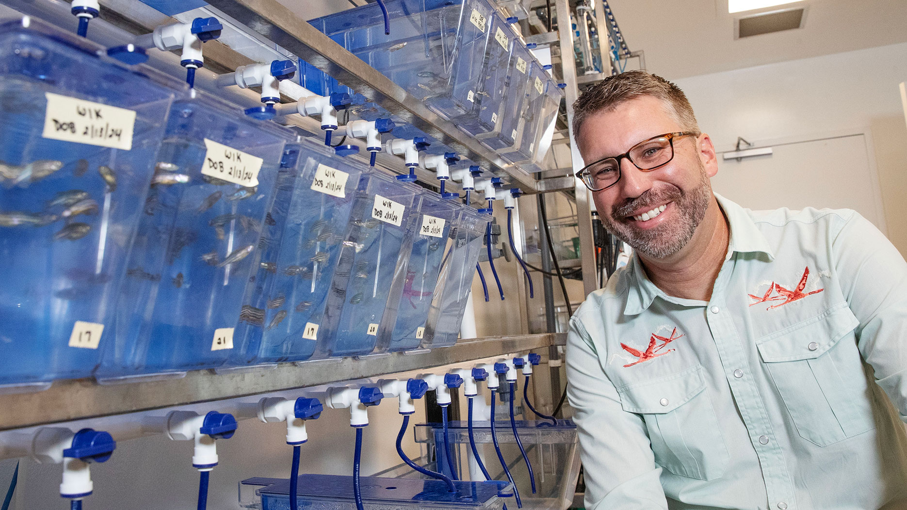 Professor of Biology Jason Breves, the 2025 recipient of the Grace E. Pickford Medal from the International Federation of Comparative Endocrinological Societies, maintains several species of fishes in Skidmore College's Billie Tisch Center for Integrated Sciences.