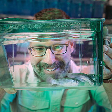 Jason+Breves+looks+through+a+fish+tank+