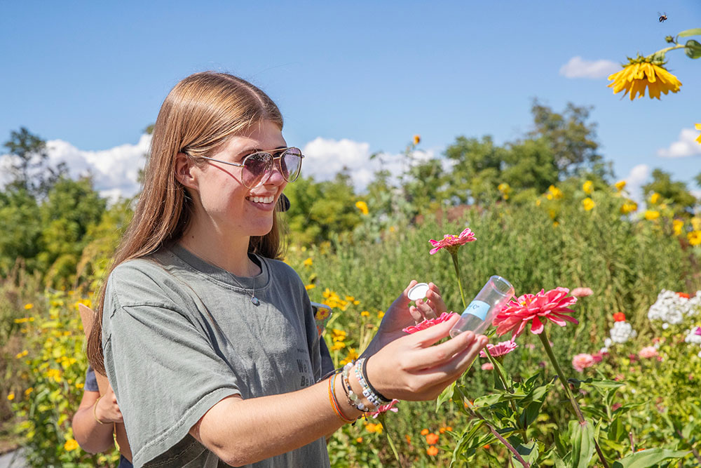 A student captures a bee at a local farm