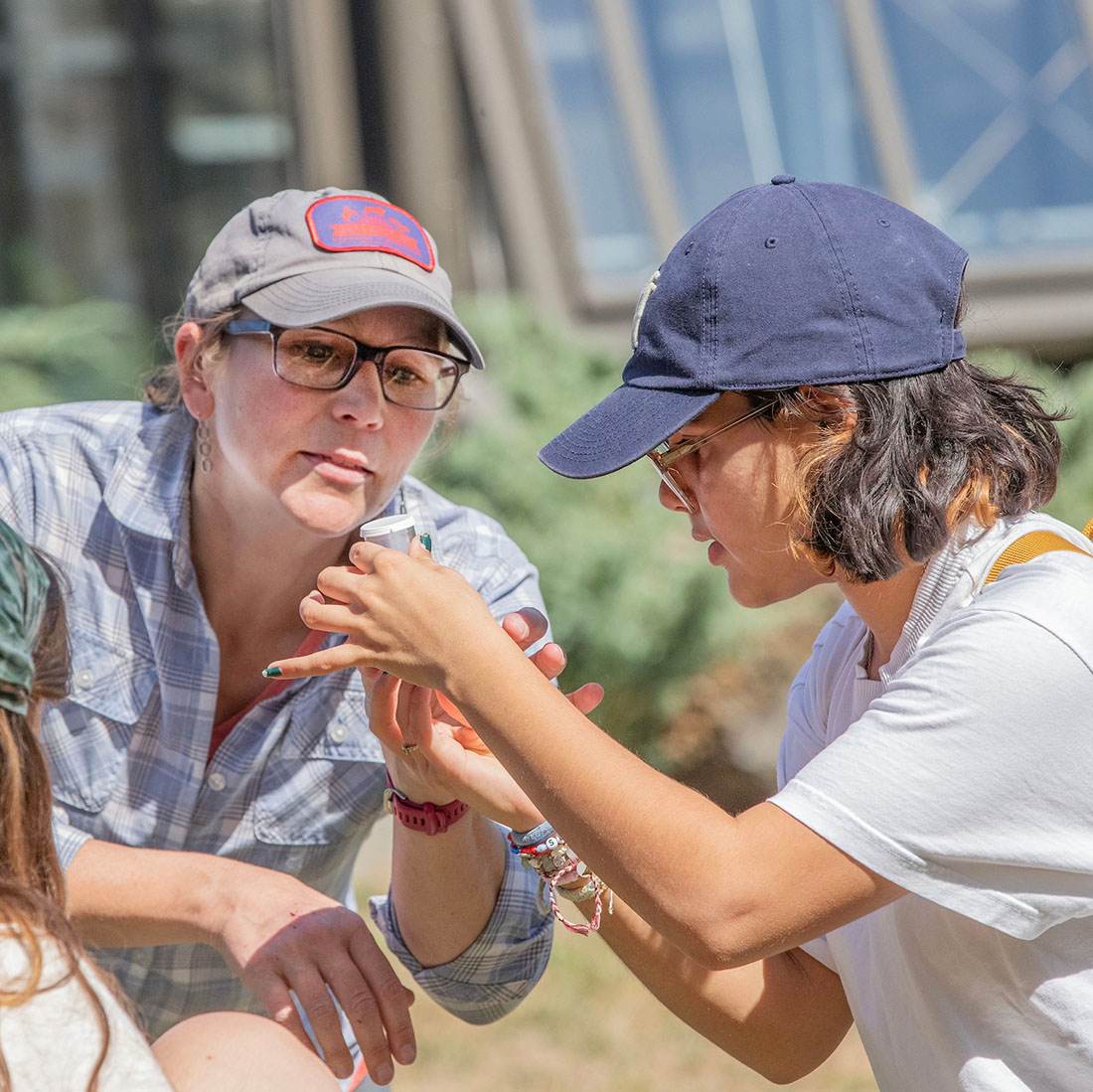 A+professor+and+a+student+inspecting+an+insect+in+a+vial++