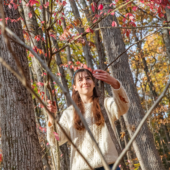 A+student+looks+at+the+leaves+in+Skidmore%27s+North+Woods
