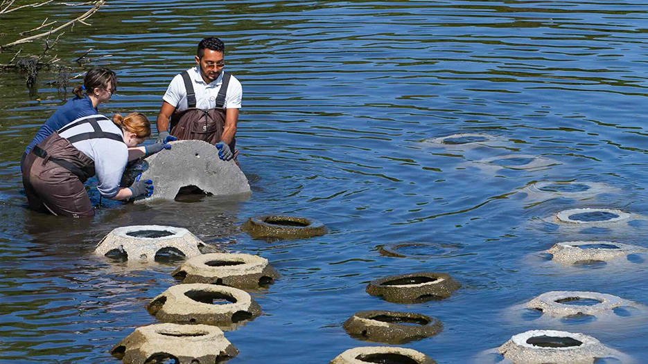 Melvin Alvarez '15 visits Connecticut College’s Thames River shoreline, where 11th Hour Racing supports an expanded artificial reef pilot program to restore ecosystems and curb erosion along the campus waterfront