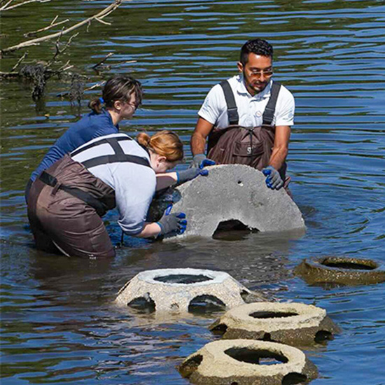 Melvin+Alvarez+%2715+visits+Connecticut+College%E2%80%99s+Thames+River+shoreline%2C+where+11th+Hour+Racing+supports+an+expanded+artificial+reef+pilot+program+to+restore+ecosystems+and+curb+erosion+along+the+campus+waterfront