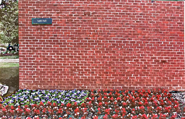 America flag made from flowers in a plant bed