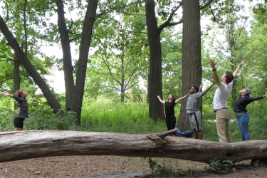 Dancing in the Forest dance