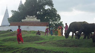 temple at Sajata Village