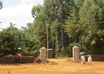 Ethiopian Forests Talk image 1