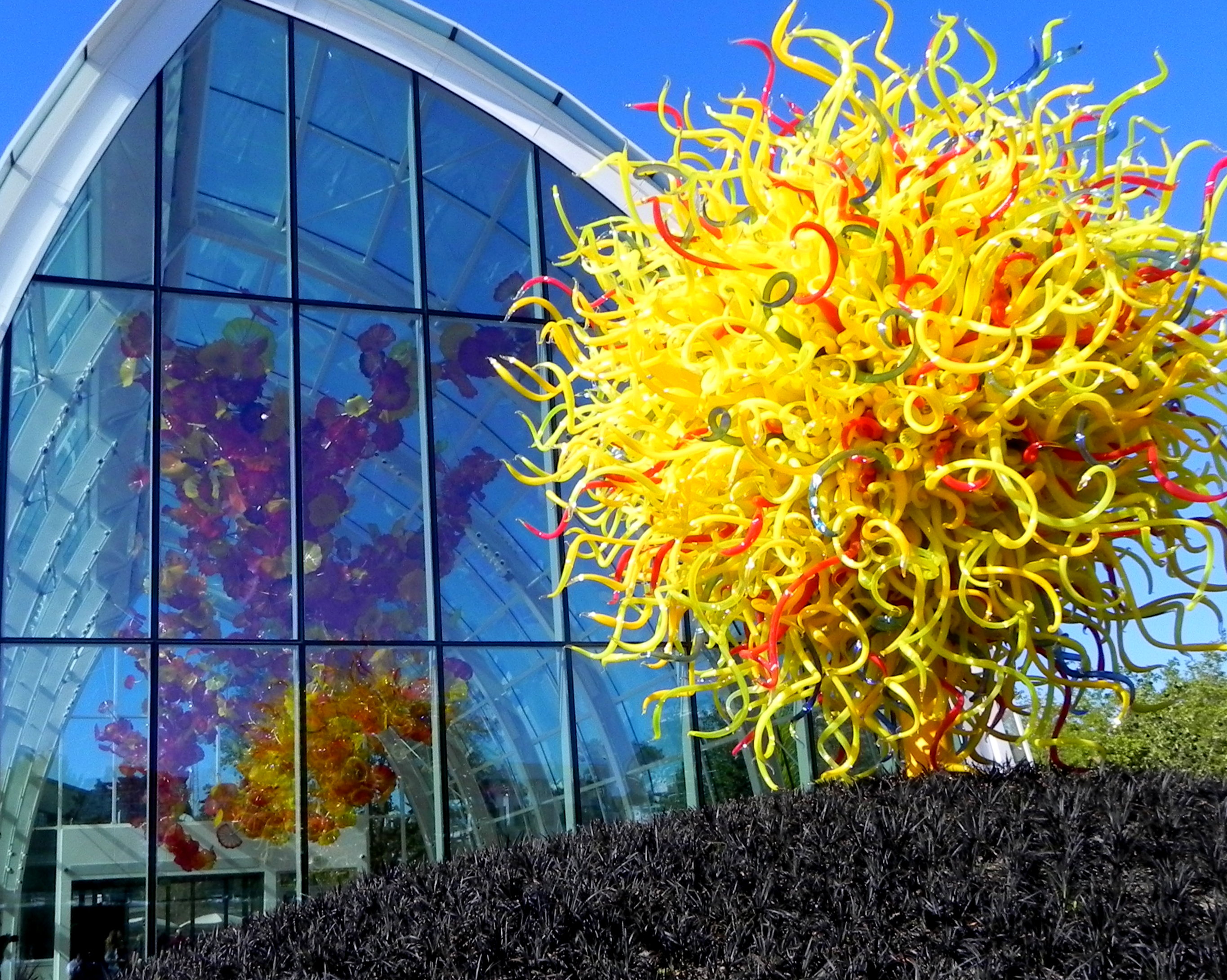 Chihuly Garden and Glass - Seattle