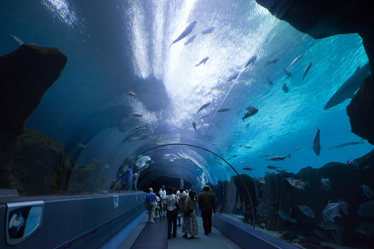 Georgia Aquarium - Atlanta