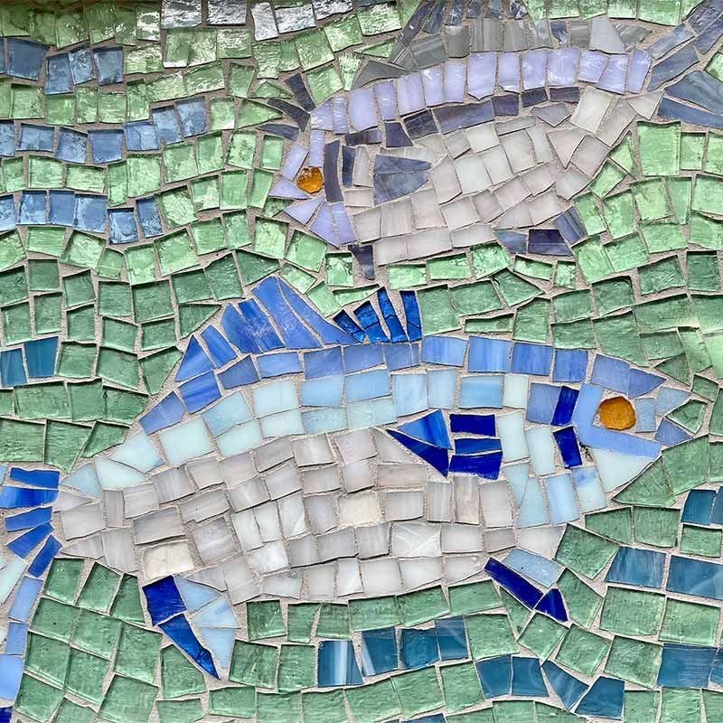 Tray: Saltwater fish of Florida and New England