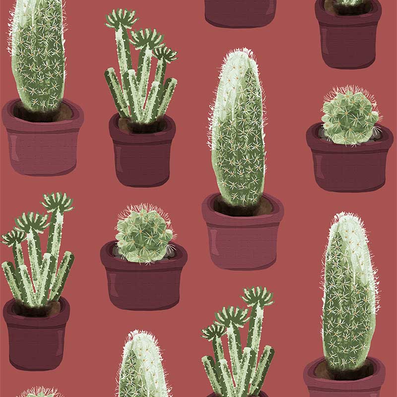 Cacti Pattern