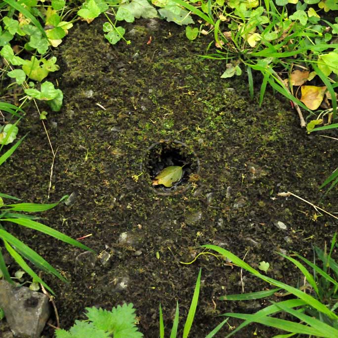 The Beginning of Wisdom