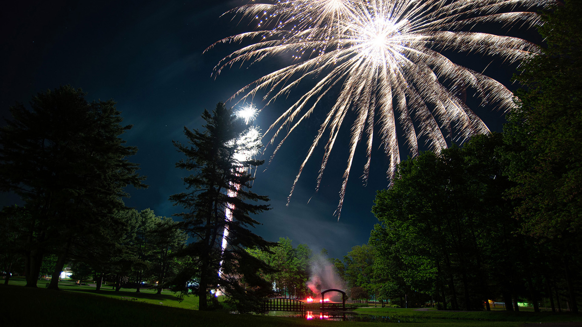 Fireworks over Haupt Pond viewed through trees