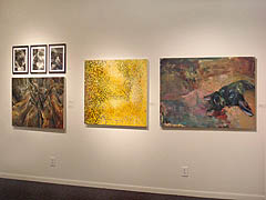 Installation photo, 2008 Skidmore Student Exhibition Installation photo, 2008 Skidmore Student Exhibition