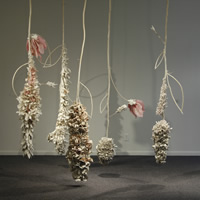 Collective Bloom, installation view, by Rebecca Hutchinson