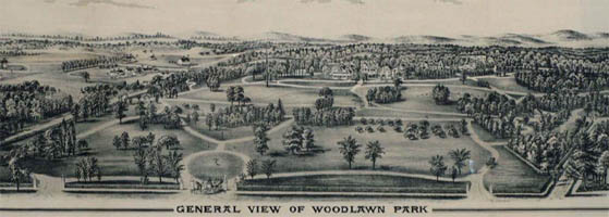 Woodlawn