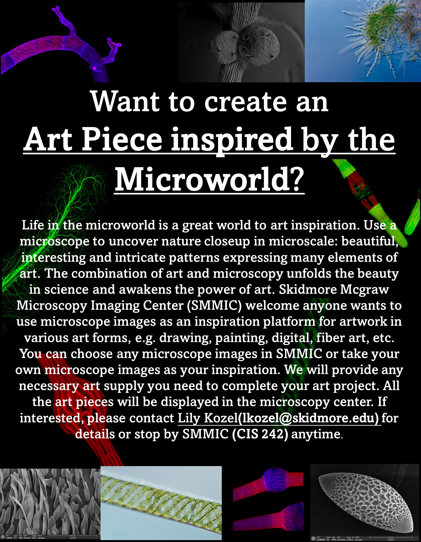 micrscopy-art