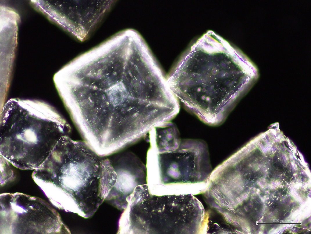 darkfieldimageofsaltcrystal