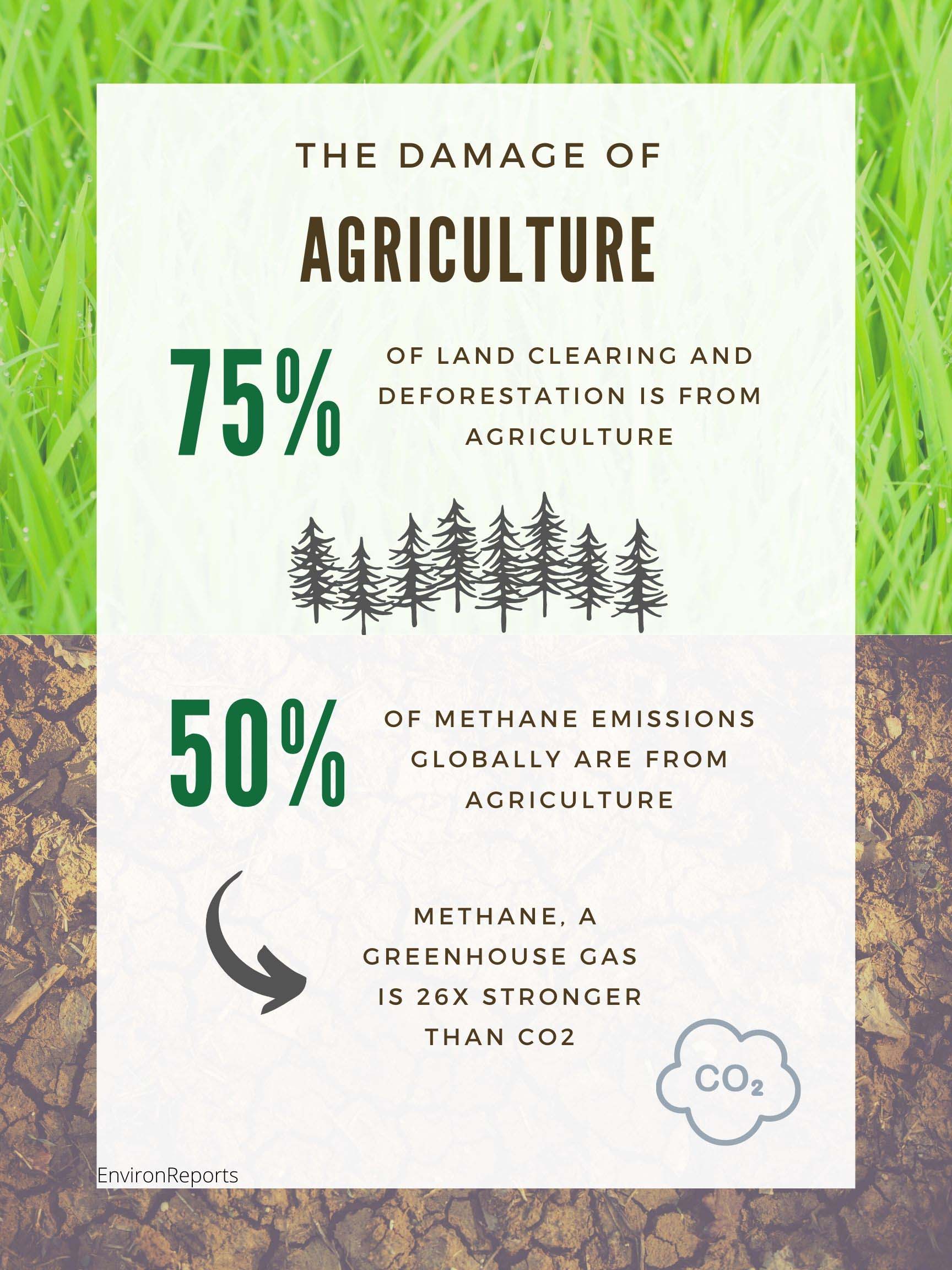 The Damage of Agriculture 75% of land clearing and deforestation is from agriculture. 50% of methane emossions globally are from agriculture. Methane, a greenhouse gas, is 26x stronger than carbon dioxide.