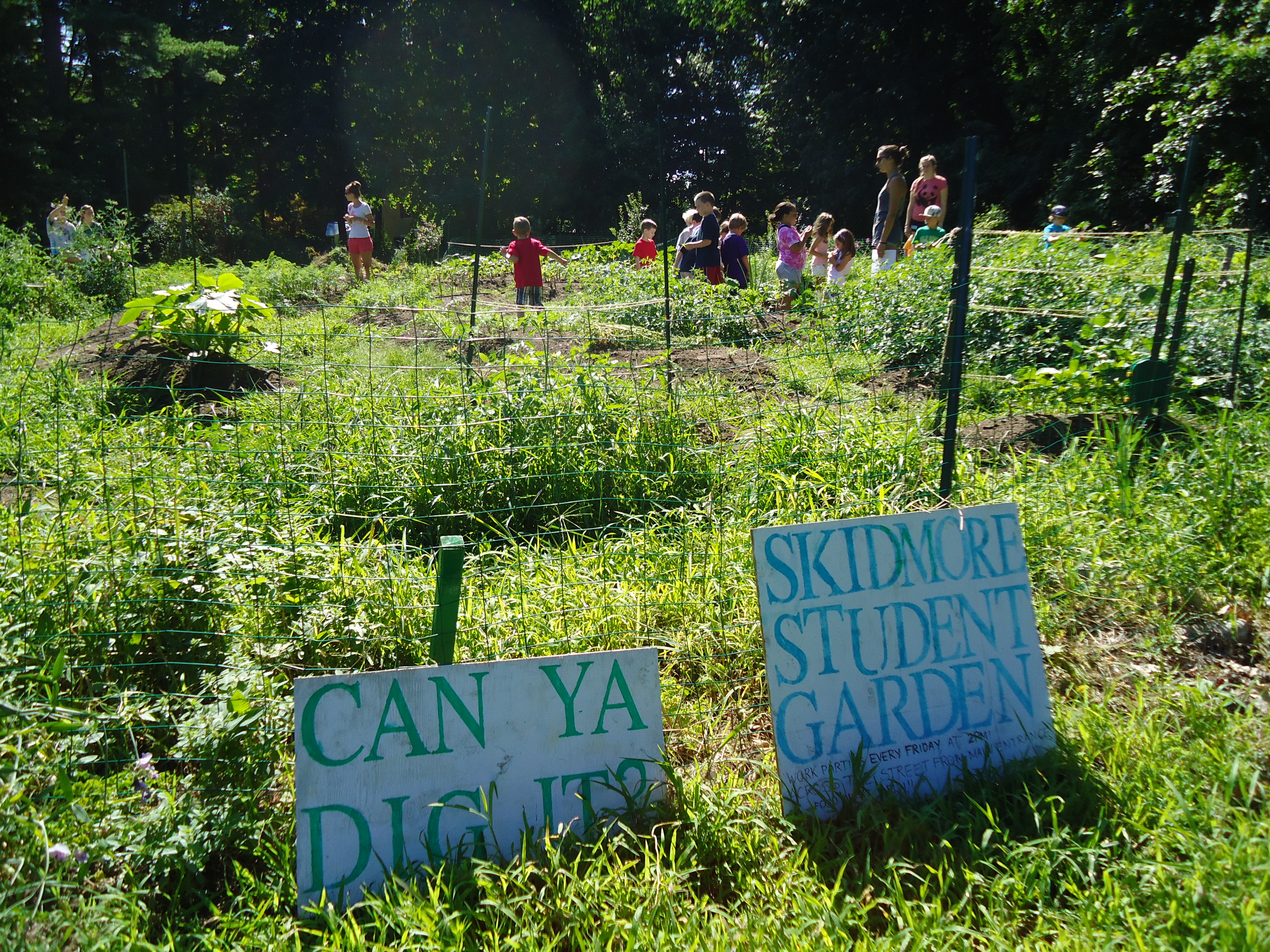 Kids blurry in the background among lush green garden sapce