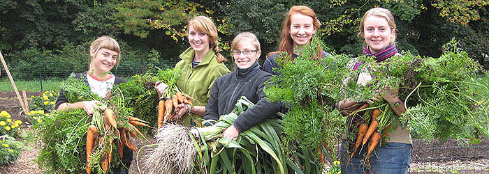 The Student Garden supplies produce to the Dining Hall