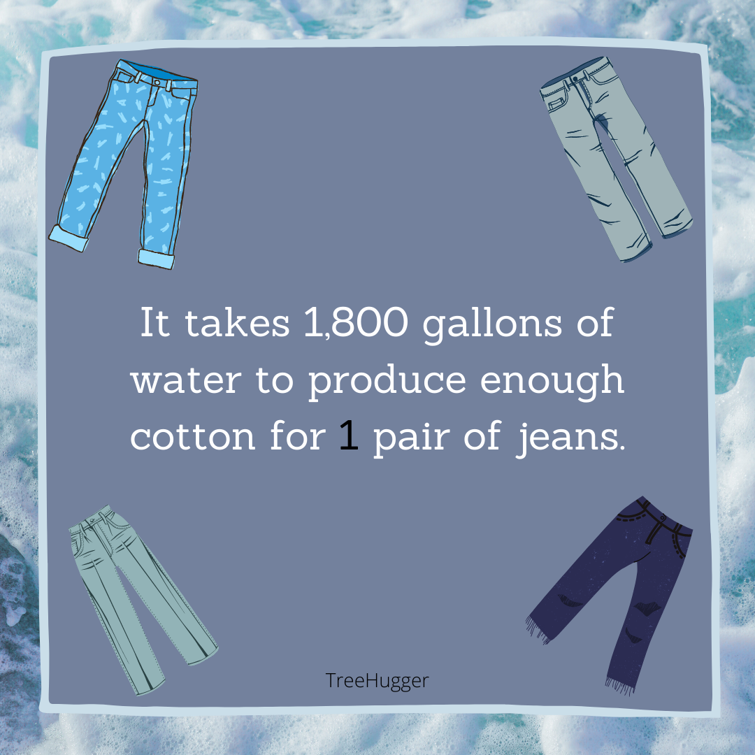 It takes 1,800 gallons of water to produce enough cotton for 1 pair of jeans. 