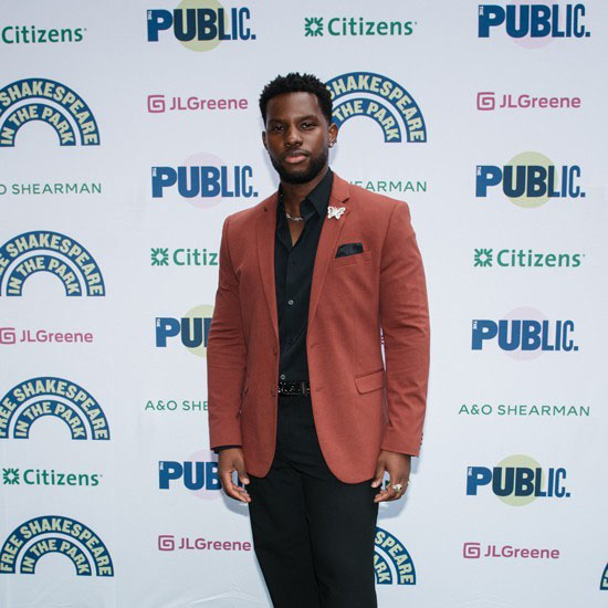 A well-dressed man stands in front of a step-and-repeat backdrop for a Public Theater and Shakespeare in the Park event. He is wearing a rust-colored blazer over a black shirt and black trousers, with a butterfly pin on his lapel.